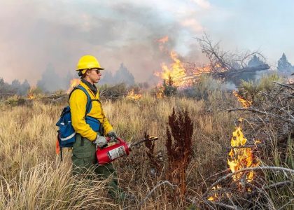 a man in a yellow hard hat and a fire hydrant