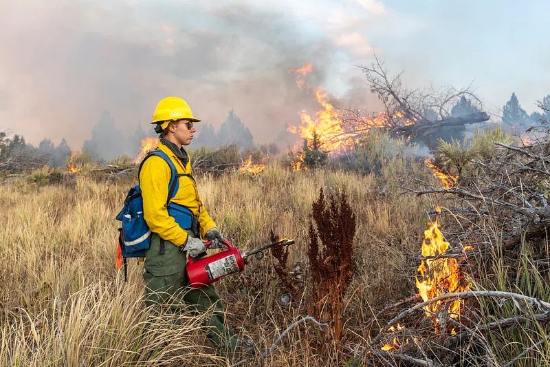 a man in a yellow hard hat and a fire hydrant